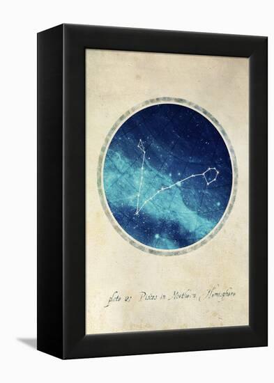 Pisces-GI ArtLab-Framed Premier Image Canvas