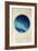 Pisces-GI ArtLab-Framed Premium Giclee Print