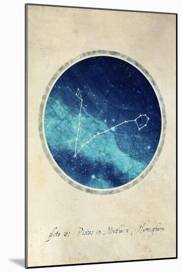 Pisces-GI ArtLab-Mounted Giclee Print