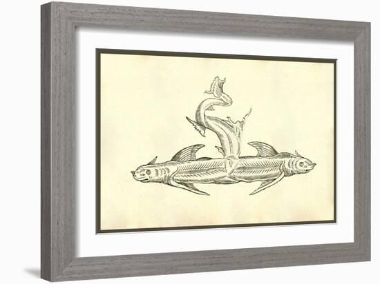 Piscis Dicephalos-Ulisse Aldrovandi-Framed Art Print