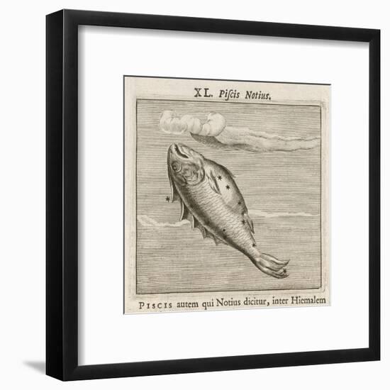 Piscis Notius-Gaius Julius Hyginus-Framed Art Print