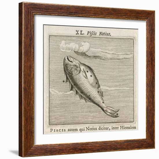 Piscis Notius-Gaius Julius Hyginus-Framed Art Print