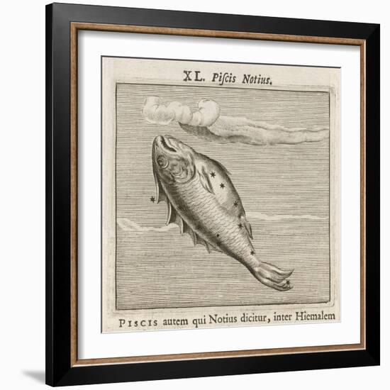 Piscis Notius-Gaius Julius Hyginus-Framed Art Print