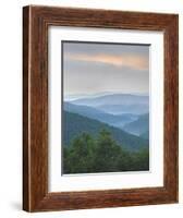 Pisgah National Forest from Blue Ridge Parkway, North Carolina, Usa-Tim Fitzharris-Framed Photographic Print