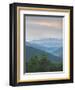 Pisgah National Forest from Blue Ridge Parkway, North Carolina, Usa-Tim Fitzharris-Framed Photographic Print