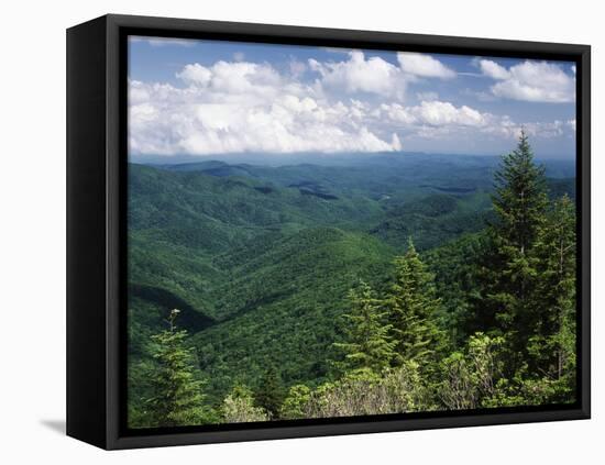 Pisgah National Forest, North Carolina, USA-Adam Jones-Framed Premier Image Canvas