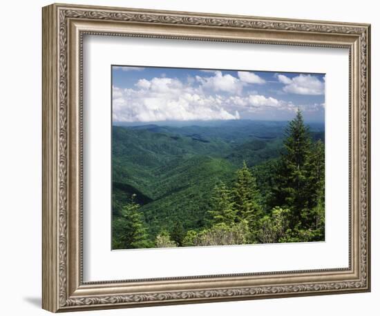 Pisgah National Forest, North Carolina, USA-Adam Jones-Framed Photographic Print