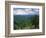 Pisgah National Forest, North Carolina, USA-Adam Jones-Framed Photographic Print