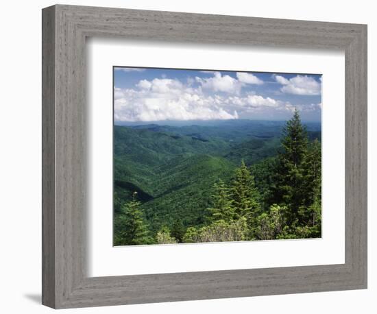 Pisgah National Forest, North Carolina, USA-Adam Jones-Framed Photographic Print