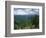 Pisgah National Forest, North Carolina, USA-Adam Jones-Framed Photographic Print