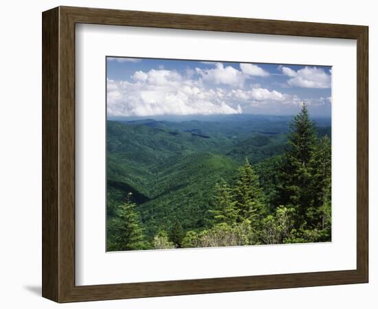 Pisgah National Forest, North Carolina, USA-Adam Jones-Framed Photographic Print