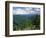 Pisgah National Forest, North Carolina, USA-Adam Jones-Framed Photographic Print