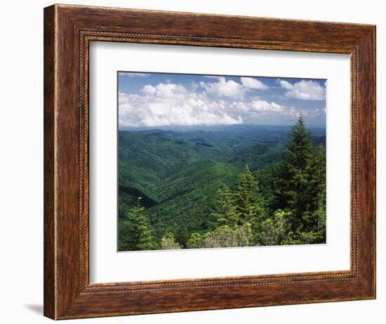 Pisgah National Forest, North Carolina, USA-Adam Jones-Framed Photographic Print