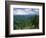 Pisgah National Forest, North Carolina, USA-Adam Jones-Framed Photographic Print