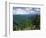 Pisgah National Forest, North Carolina, USA-Adam Jones-Framed Photographic Print