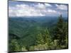 Pisgah National Forest, North Carolina, USA-Adam Jones-Mounted Photographic Print