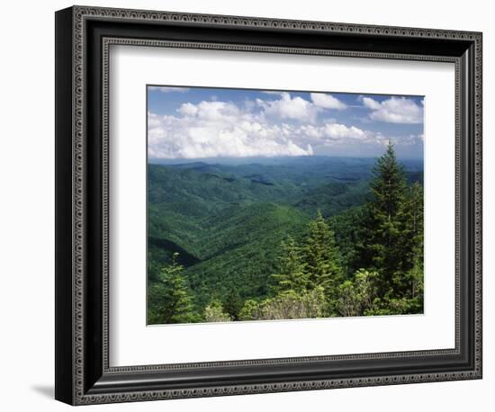 Pisgah National Forest, North Carolina, USA-Adam Jones-Framed Photographic Print