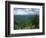 Pisgah National Forest, North Carolina, USA-Adam Jones-Framed Photographic Print