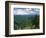 Pisgah National Forest, North Carolina, USA-Adam Jones-Framed Photographic Print