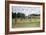 Pissarro: Cow Pasture-Camille Pissarro-Framed Giclee Print