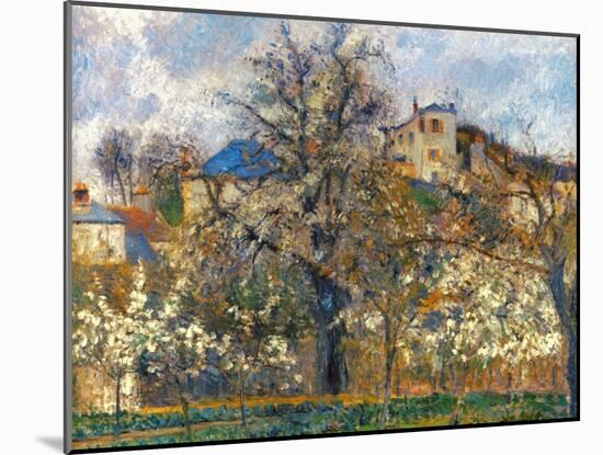 Pissarro: Garden, 1877-Camille Pissarro-Mounted Giclee Print