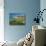 Pissouri Bay, Pissouri, Cyprus, Mediterranean, Europe-Stuart Black-Photographic Print displayed on a wall