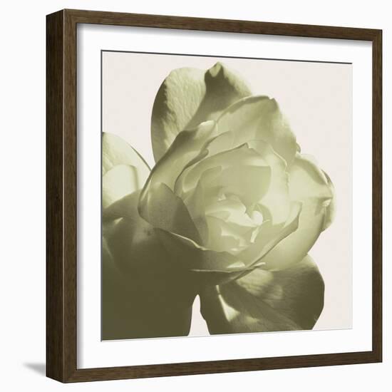 Pistachio Rose-Malcolm Sanders-Framed Giclee Print