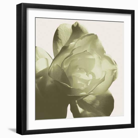 Pistachio Rose-Malcolm Sanders-Framed Giclee Print