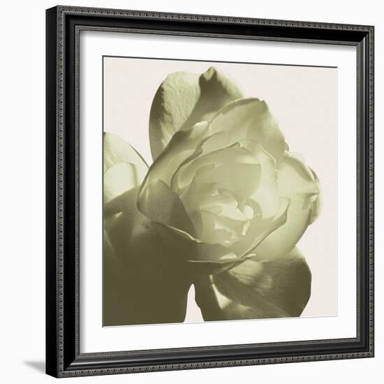 Pistachio Rose-Malcolm Sanders-Framed Giclee Print