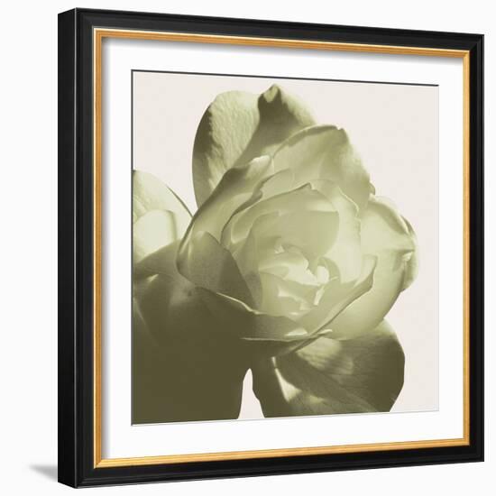 Pistachio Rose-Malcolm Sanders-Framed Giclee Print