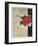 Pistils-Yannick Ballif-Framed Collectable Print