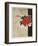 Pistils-Yannick Ballif-Framed Collectable Print