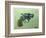 Pistol, 2016 (Oil on Canvas)-Thomas MacGregor-Framed Giclee Print
