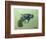 Pistol, 2016 (Oil on Canvas)-Thomas MacGregor-Framed Giclee Print