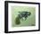 Pistol, 2016 (Oil on Canvas)-Thomas MacGregor-Framed Giclee Print