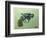 Pistol, 2016 (Oil on Canvas)-Thomas MacGregor-Framed Giclee Print