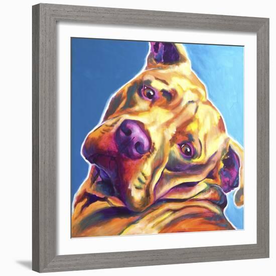 Pit Bull - Dozer-Dawgart-Framed Giclee Print