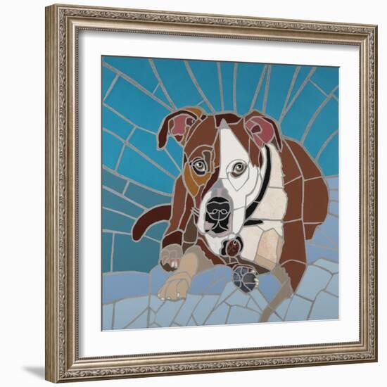 Pit Bull Portrait I-Jonathan Mandell-Framed Giclee Print