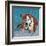 Pit Bull Portrait I-Jonathan Mandell-Framed Giclee Print