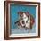 Pit Bull Portrait I-Jonathan Mandell-Framed Giclee Print