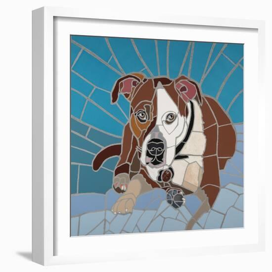 Pit Bull Portrait I-Jonathan Mandell-Framed Giclee Print