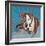 Pit Bull Portrait I-Jonathan Mandell-Framed Giclee Print