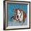 Pit Bull Portrait I-Jonathan Mandell-Framed Giclee Print