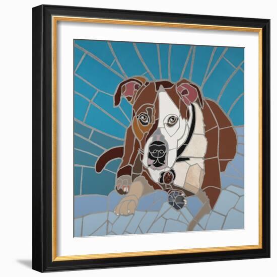 Pit Bull Portrait I-Jonathan Mandell-Framed Giclee Print