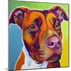 Pit Bull - Red-Dawgart-Mounted Giclee Print