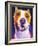 Pit Bull - Rexy-Dawgart-Framed Giclee Print