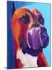 Pit Bull - Tasty-Dawgart-Mounted Giclee Print