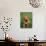 Pit Bull Terrier Puppy-Adriano Bacchella-Photographic Print displayed on a wall
