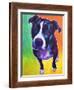 Pit Bull - Truman-Dawgart-Framed Giclee Print
