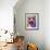 Pit Bull - Yummy-Dawgart-Framed Giclee Print displayed on a wall